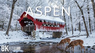 Magical Winter in Aspen 8K UHD ❄️ White Landscapes &amp; Timeless Alpine Serenity | Winter Wonderland