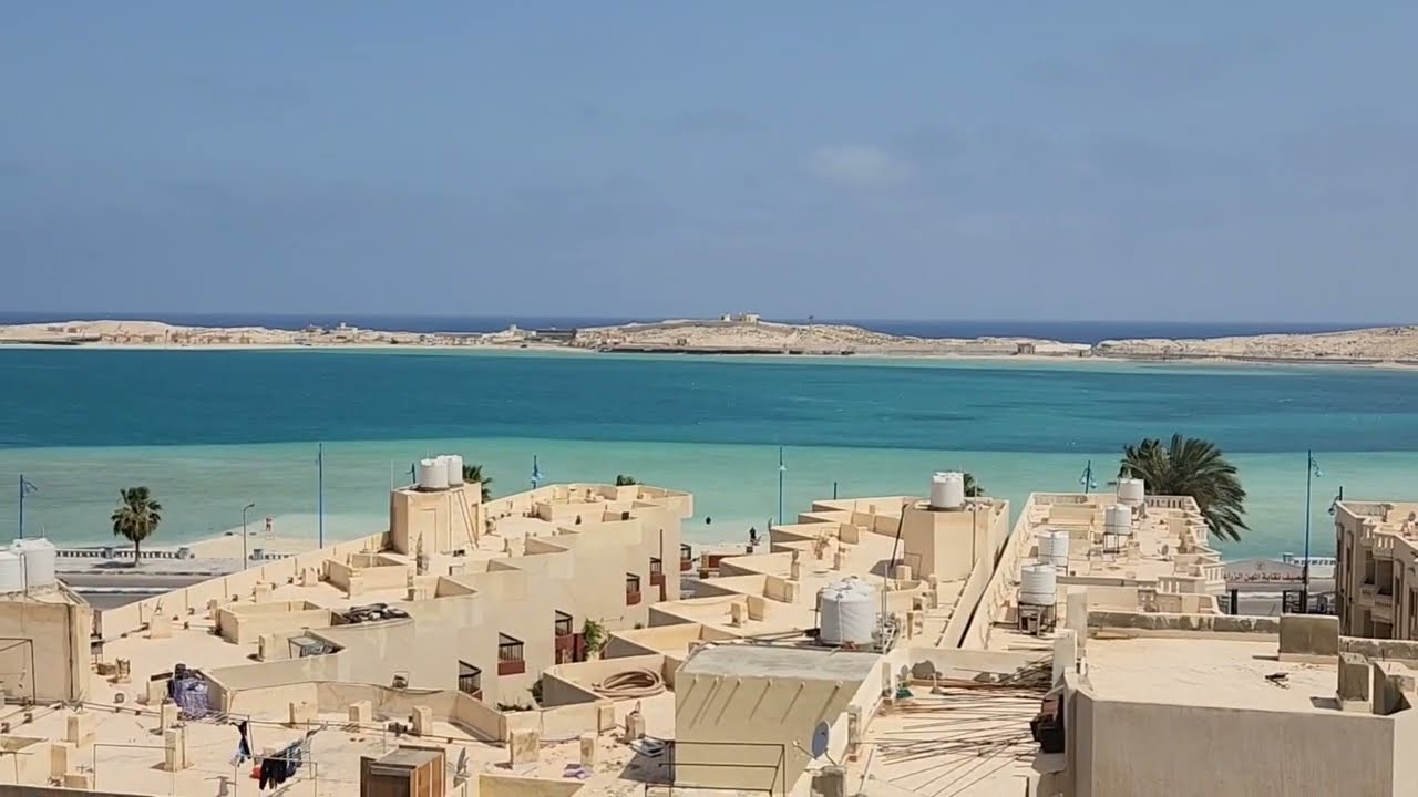 النخيل برج سولتير