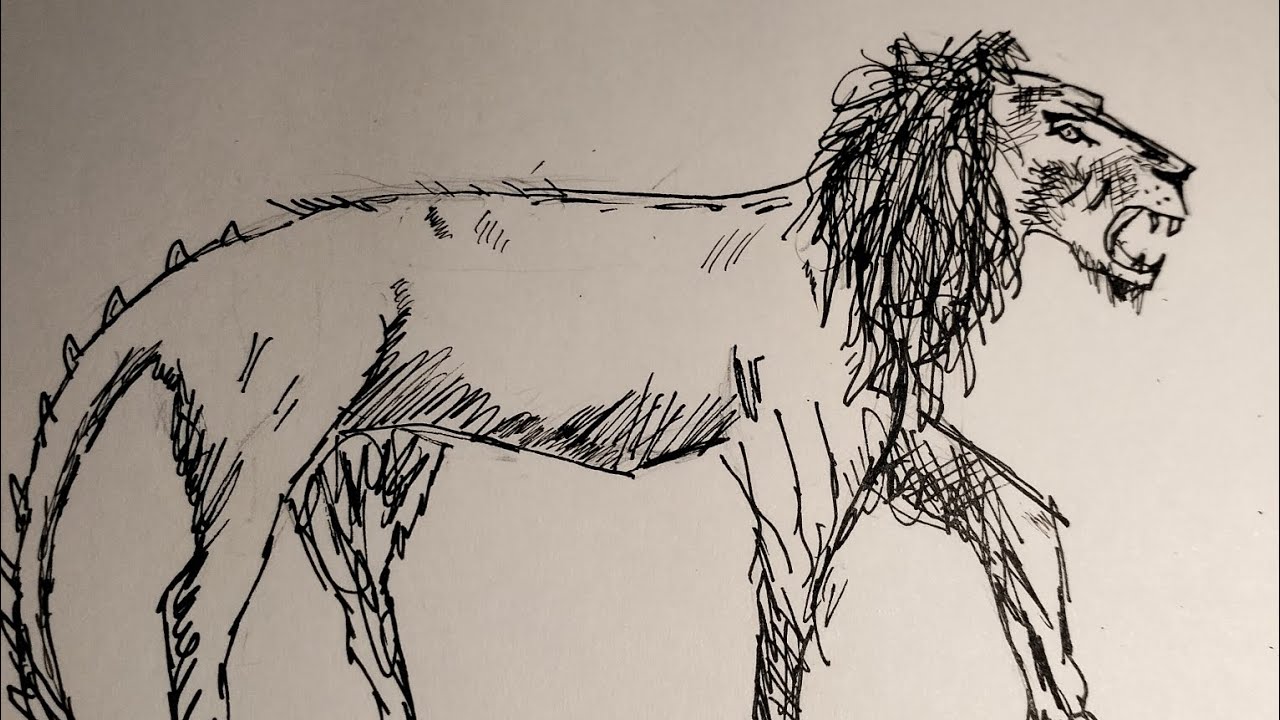 Drawing a chimera 🦁🐐🐉