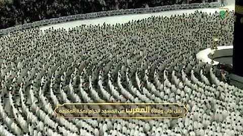 تلاوة هادئة لسورتي الشرح والنصر للشيخ د. #الوليد_الشمسان مغرب الأثنين 23 ربيع الأول 1447هـ
