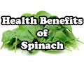 10 Health Benefits Of Spinach