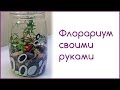 Флорариум своими руками. Сад в стекле.