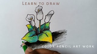 Easy and Beautiful Flower Drawing with pencil color step by step