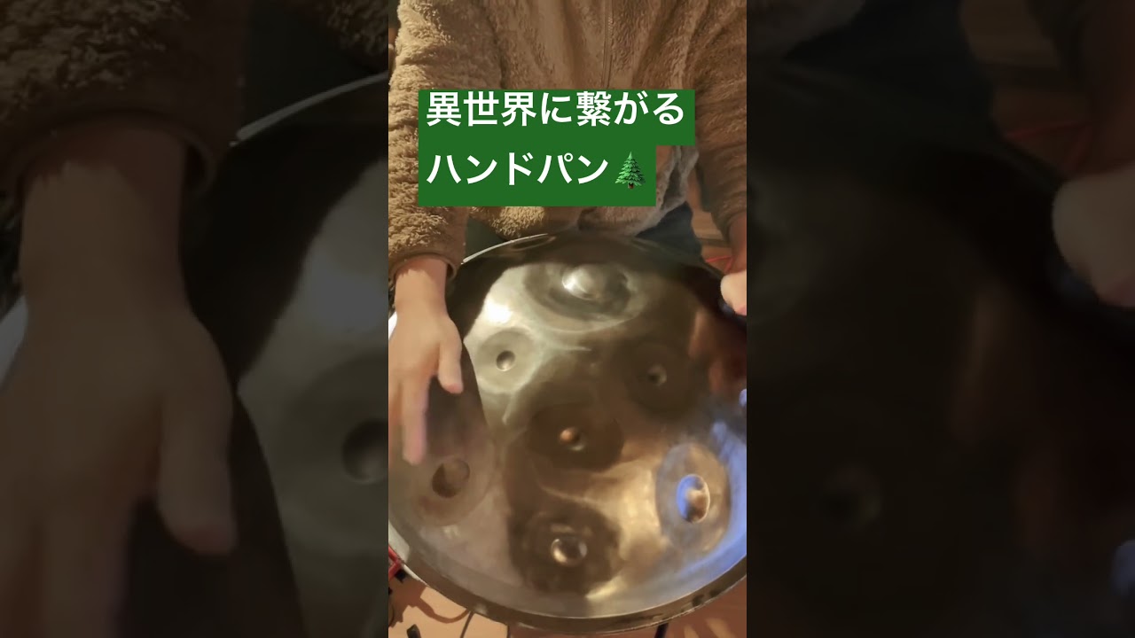 異世界に繋がるハンドパン🌲