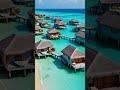 Maldives #youtubeshorts #ytshorts #maldives #travel #trending
