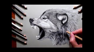 Kurt Nasıl Çizilir - Hızlı Kurt Çizimi - Basit Kurt Çizimi| How to Draw a Wolf Pencil