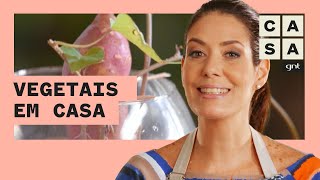 Como plantar VEGETAIS em casa? | Jardinagem | Gabi Pileggi