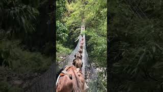 🏔️ Manaslu Circuit Trek, Nepal 🇳🇵  Hidden Himalayan Adventure#manaslucircuit #explorenepal#trekking