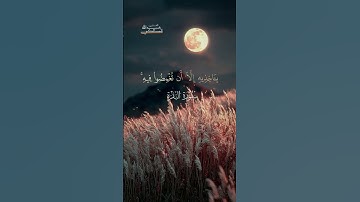 (وَمَا يَذَّكَّرُ إِلَّا أُولُوا الْأَلْبَابِ ) #قرآن #اكسبلور #لايك #قران_كريم #ترند #تلاوات
