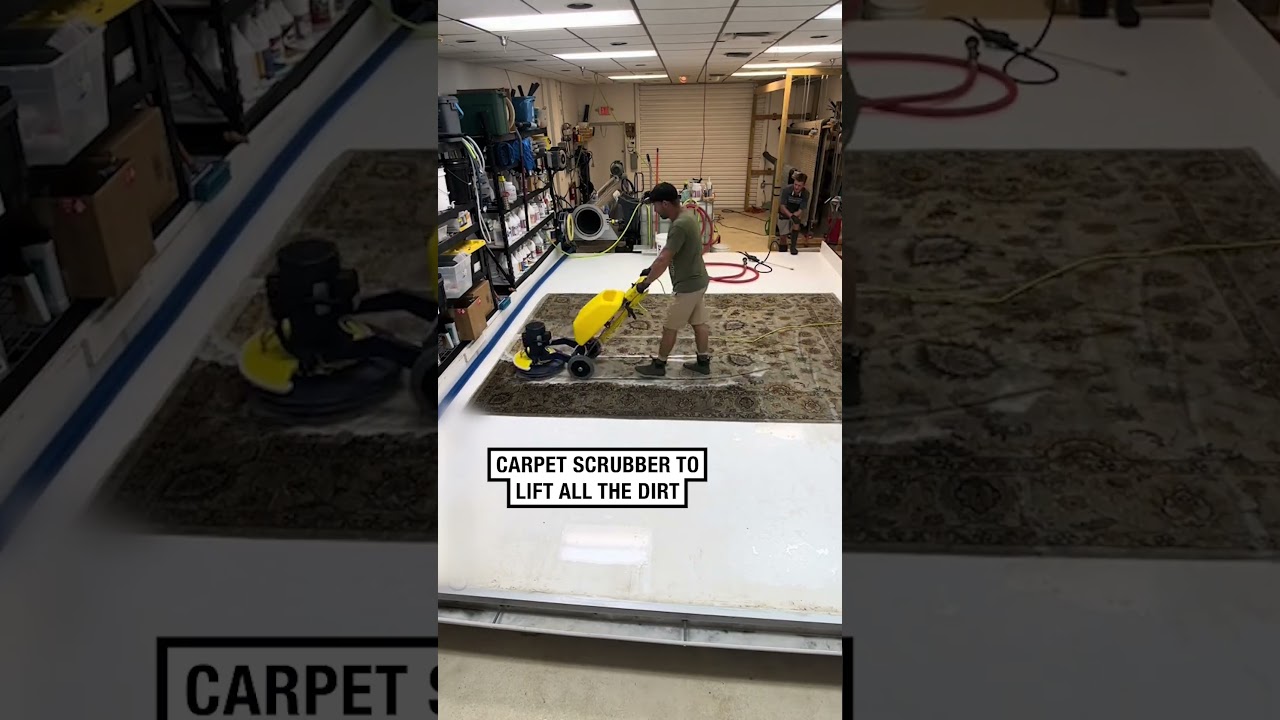 This contaminated rug clean up is so satisfying!! 😍 😲       🎥: rughubb