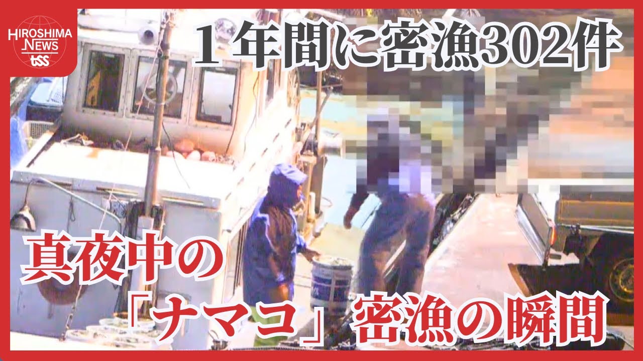暗闇の中「ナマコ」密漁の瞬間! 1年間に密漁302件「あらゆる方法で海の秩序維持」六管本部 - YouTube