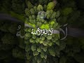 Takbeerat | #shorts #viral #islamic #manzil #viralvideo #quran #islam #video #shortvideo #status
