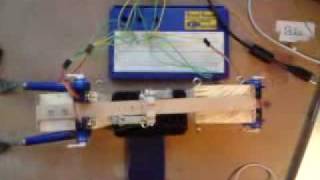 Celebrity Arduino Servo Puppet Legs Net Worth