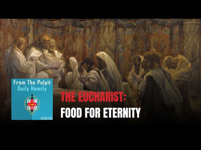 Daily IVE Homilies, April 23rd, 2026 - The Eucharist: Food for Eternity