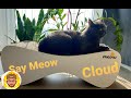 Распаковка когтеточки дряпки-лежанки для кошек Say Meow Cloud - кошка скажет Вам спасибо! 😼