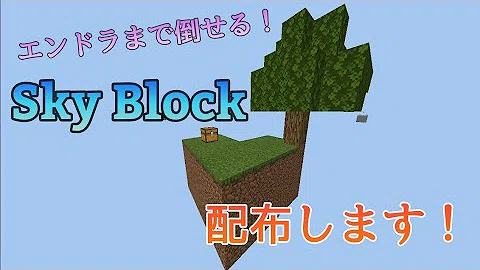 マイクラ Pe スカイ ブロック シード 値