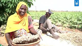 Our 2025 Impact Report with Islamic Relief Kenya