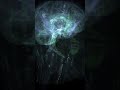 Mental Case Studies - The Grand Neagus (Short #1)