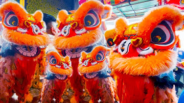 Múa Lân Khai Quang Điểm Nhãn Lân Sư Rồng 2025 / LSR Hải Nam Liên Hữu cúng Giỗ Tổ Huê Quang