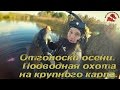 Подводная охота на крупного карпа. Отголоски осени.