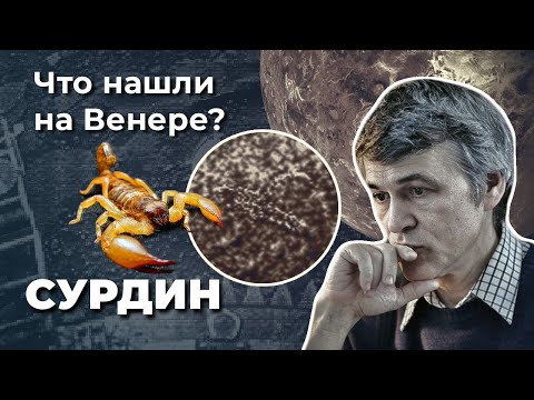 Владимир Сурдин. ЗАГАДОЧНЫЕ находки на Венере. Жизнь на Венере возможна?