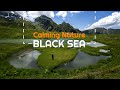 Calming Nature BLACK SEA | Nature Sounds Relaxing Music |  Rain Sounds | Sleep and Rest Music