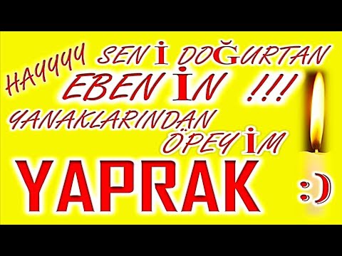 İyi ki Doğdun Yaprak İsme Özel Komik Doğum Günü Şarkısı