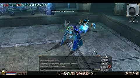 Metin2 Killing Nemere Boss in Snow Dungeon