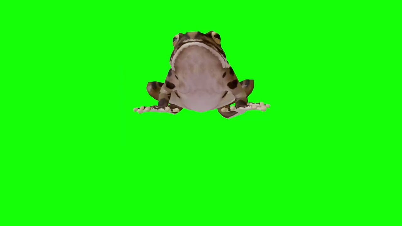 Frog Green Screen 