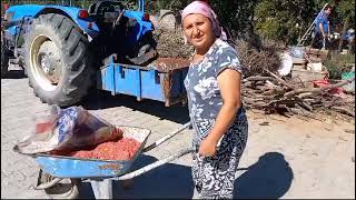 Çalısıverin gari doğal hayat - Köyde Hayatı