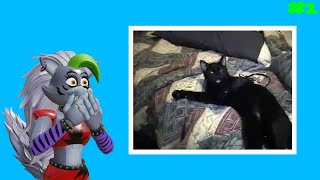 Roxanne Wolf RE-REACTS to Talking Kitty Cat | Part 1 | ft. Jordon Edwards
