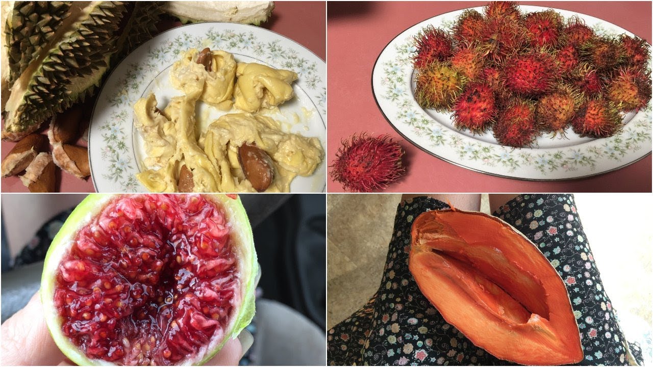 RAW VEGAN: my top 10 favorite fruits & the thousands more in the world