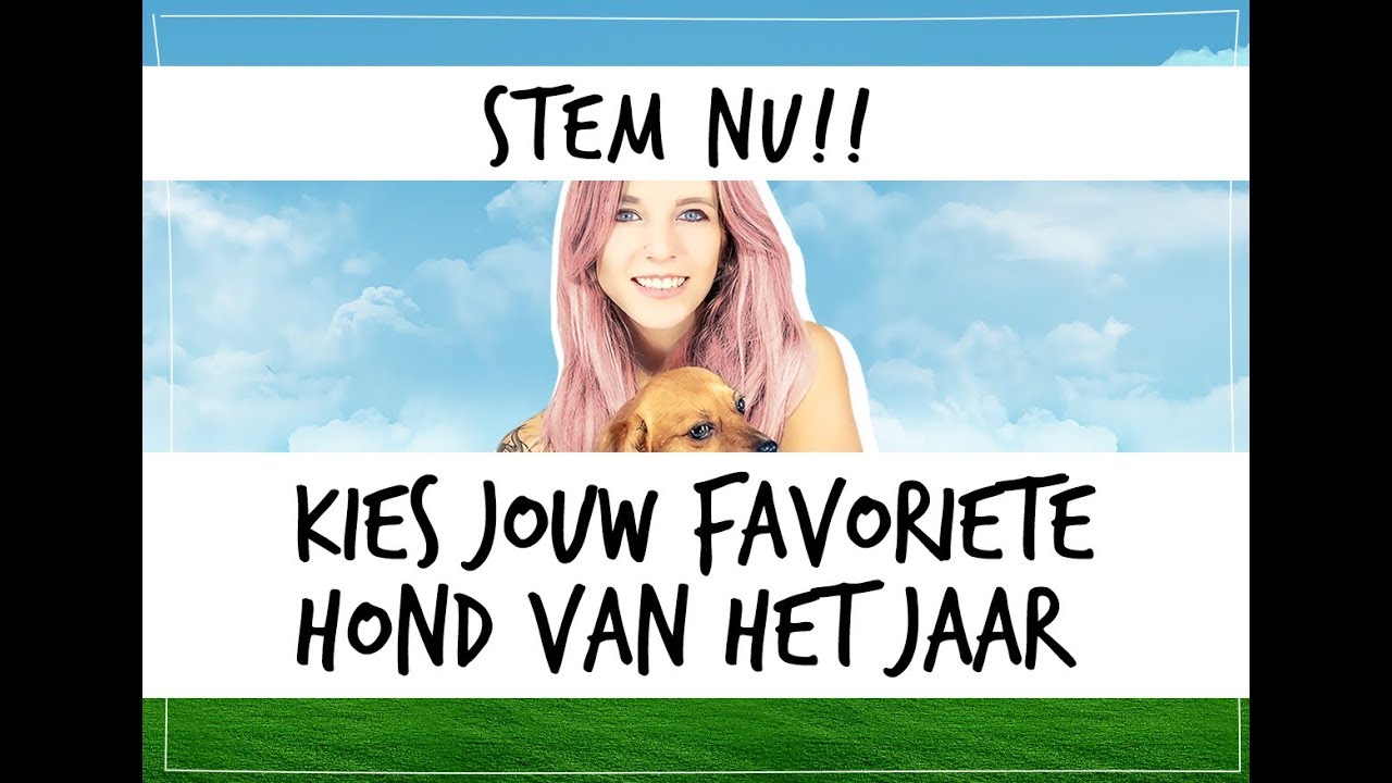 HOND VAN HET JAAR:  "ALLE GENOMINEERDEN OP EEN RIJ" - FIKKIE TV