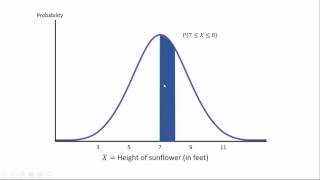 Stats Lesson 5