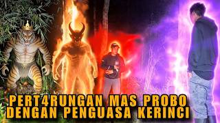 Download Lagu MENGERIKAN ANTARA MANUSIA DENGAN H4RIMAU SUMATRA!! MP3