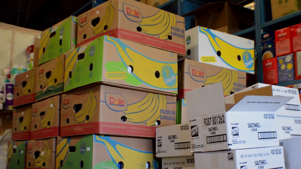 Common Heart, a small revolution of kindness