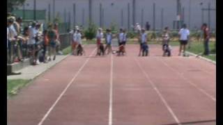 60M Pup Hommes Champ Prov Lux 24 Mai 2010