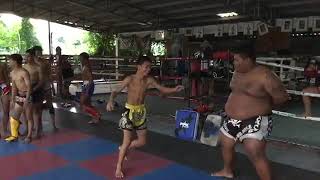 Muay Thai Practice Fat Belly Heavy Bag