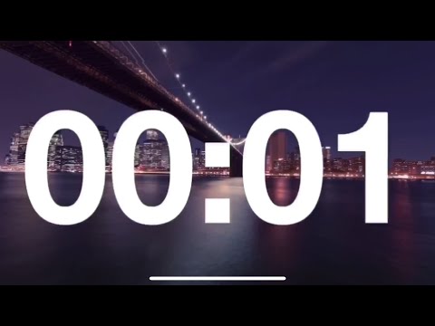 1 SECOND TIMER