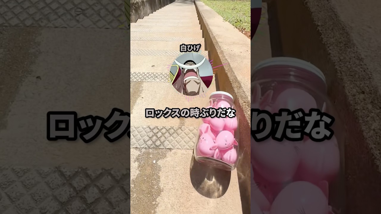 カイドウ「よォ白ひげ、まだ生きとったか」黒ひげ「！？！？！？」