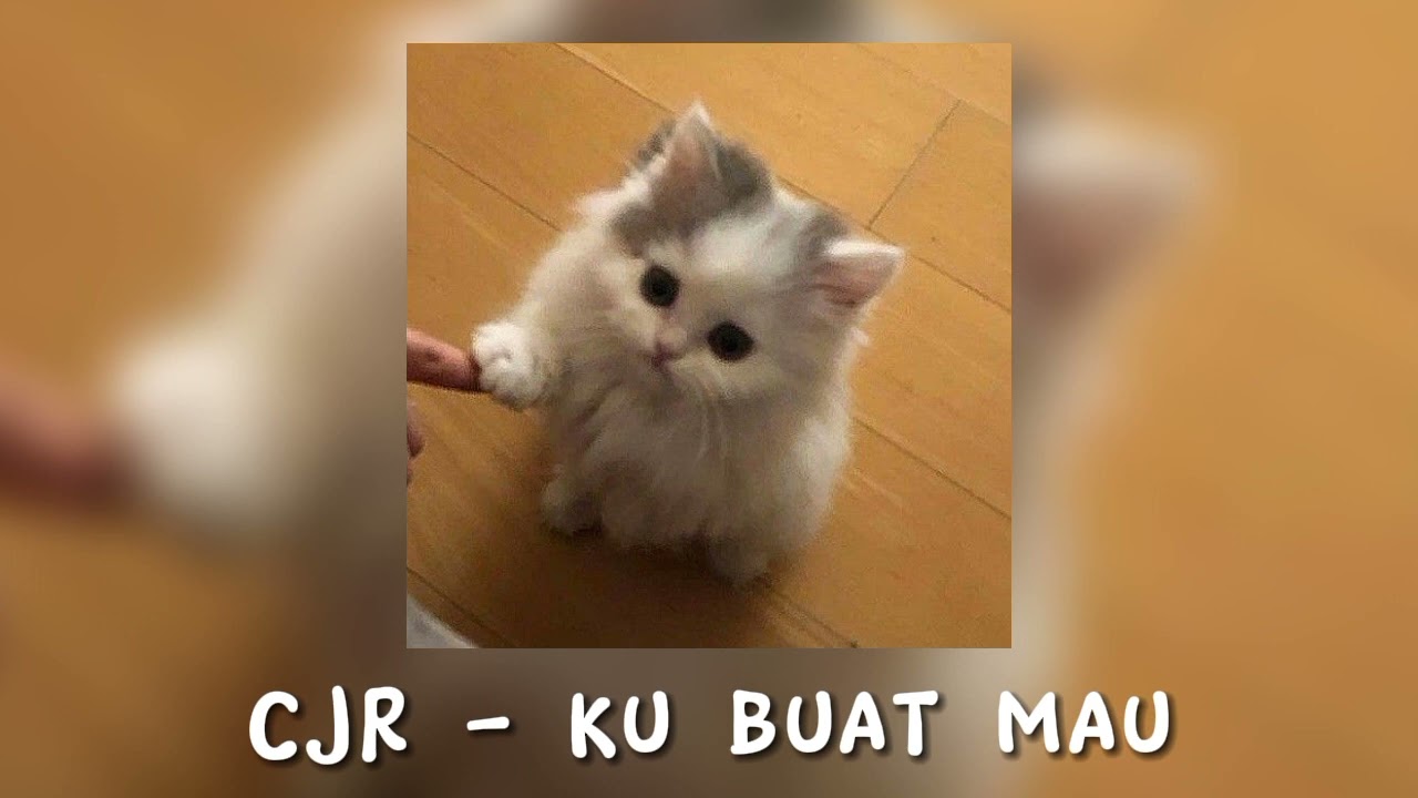 CJR - Ku buat mau (Speed up)
