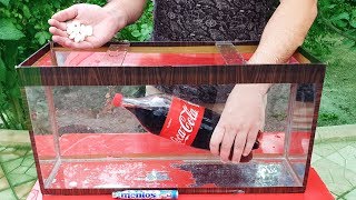 Experiment Coca Cola And Mentos Under Water