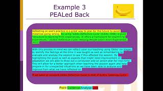 Mini Teach   Plagiarism and Referencing