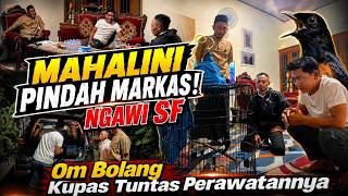 MAHALINI MB MOVES TO NGAWI SF HQ!!! OM BOLANG BREAKS DOWN THE CARE ROUTINE