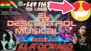 cocoliso pájaro pájaro