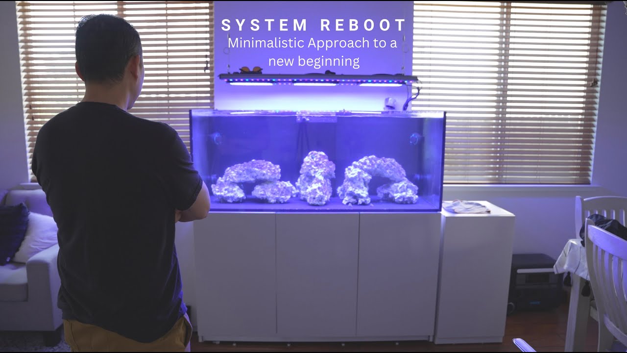 Перезагрузка рифовой системы | Начало с нуля | Минималистичный подход, который вам следует рассмо...