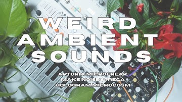Weird Ambient Sounds - Arturia Microfreak/ Make Noise Strega/ Hologram Microcosm