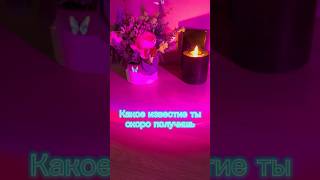 Бесплатный расклад на будущее в What’sApp #гадалка #таро #гадание #таролог #расклад