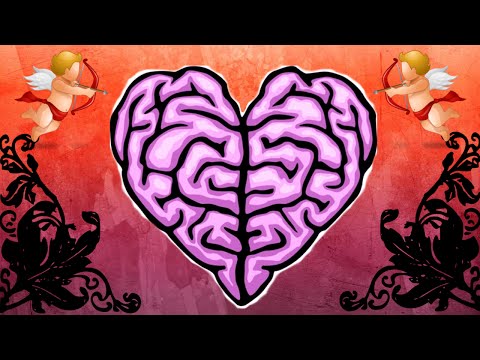 Where Does Love Come From?