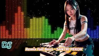 Dj Remix Full Bass -Santri Pekok [RERE] #djviral #djremix #dj #djtiktok #djterbaru #beautiful